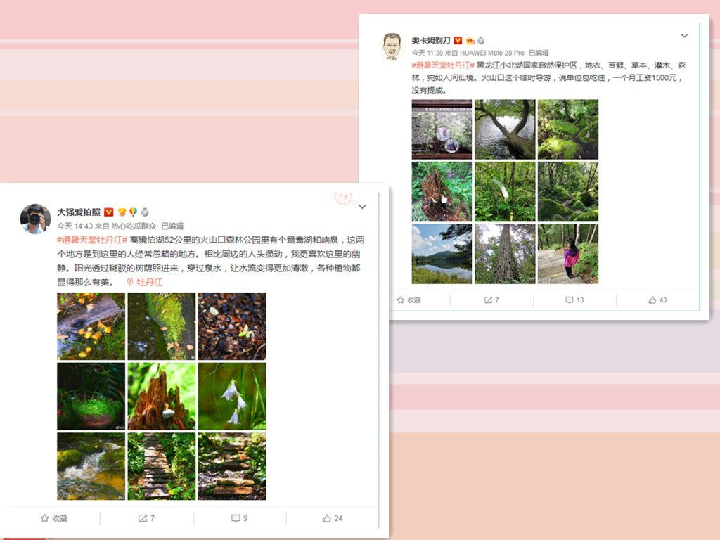 5d8c38c339f34.jpg news19025-11.jpg