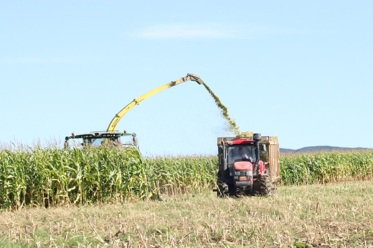 5d8c54367de42.jpg news19028-3.jpg