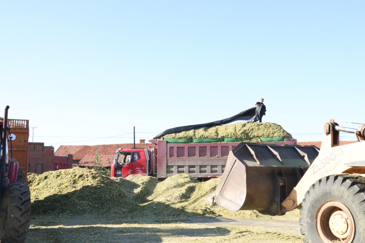 5d8c546d05622.jpg news19028-4.jpg