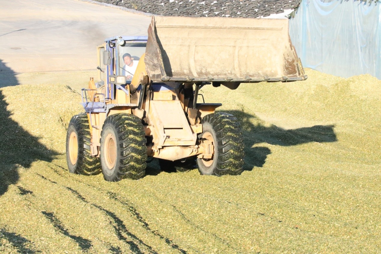 5d8c54a89d882.jpg news19028-5.jpg