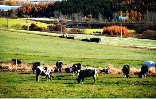 5dba85d3c15f8.jpg 2.jpg